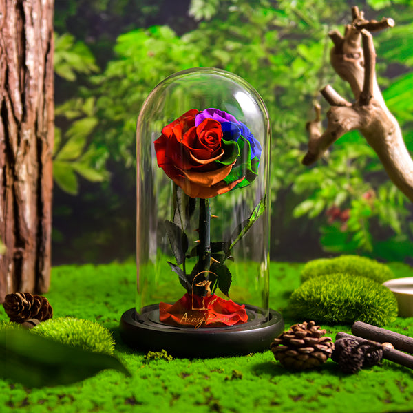 Forever Rose Eternal Roses Forever Flower 2-4pcs – AinyRose