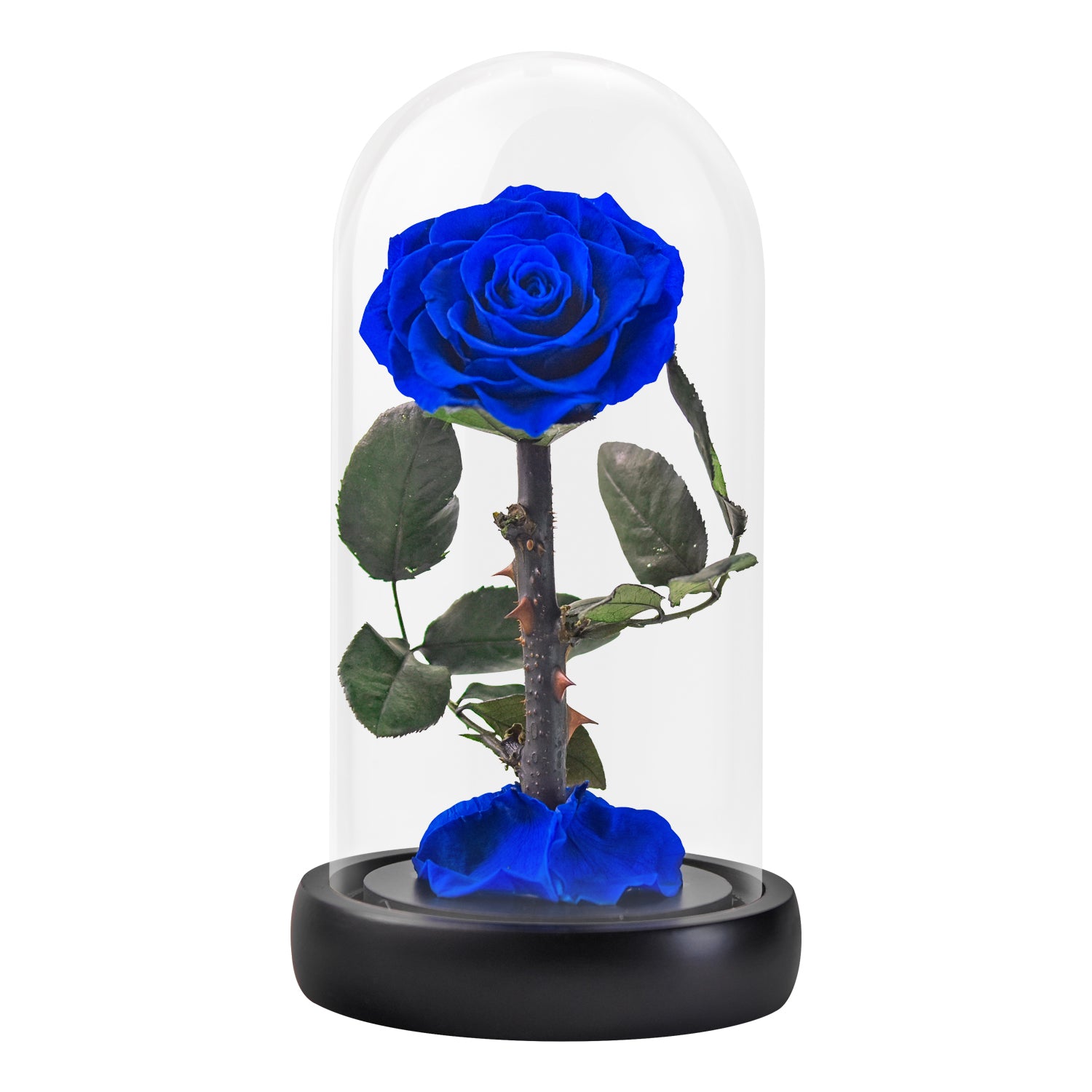 Preserved Rose Forever Rose in Glass Dome Mother's Day Gift – AinyRose