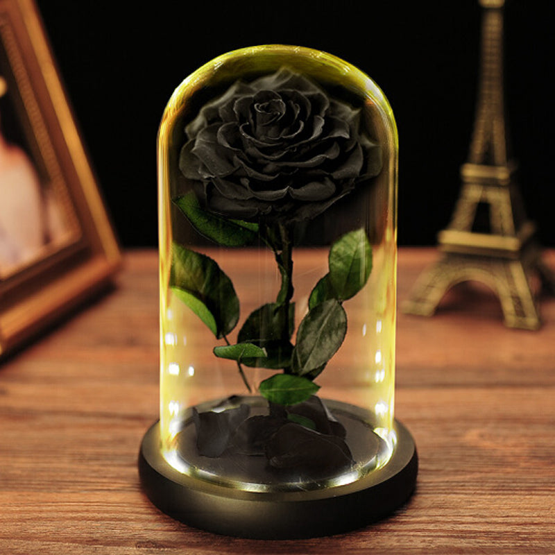 Preserved Rose Forever Rose in Glass Dome Mother's Day Gift – AinyRose