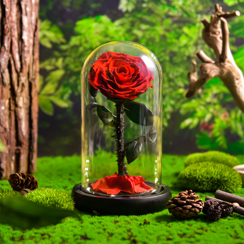 Forever Rose in Glass With Light Red Special Gift Ideas – AinyRose