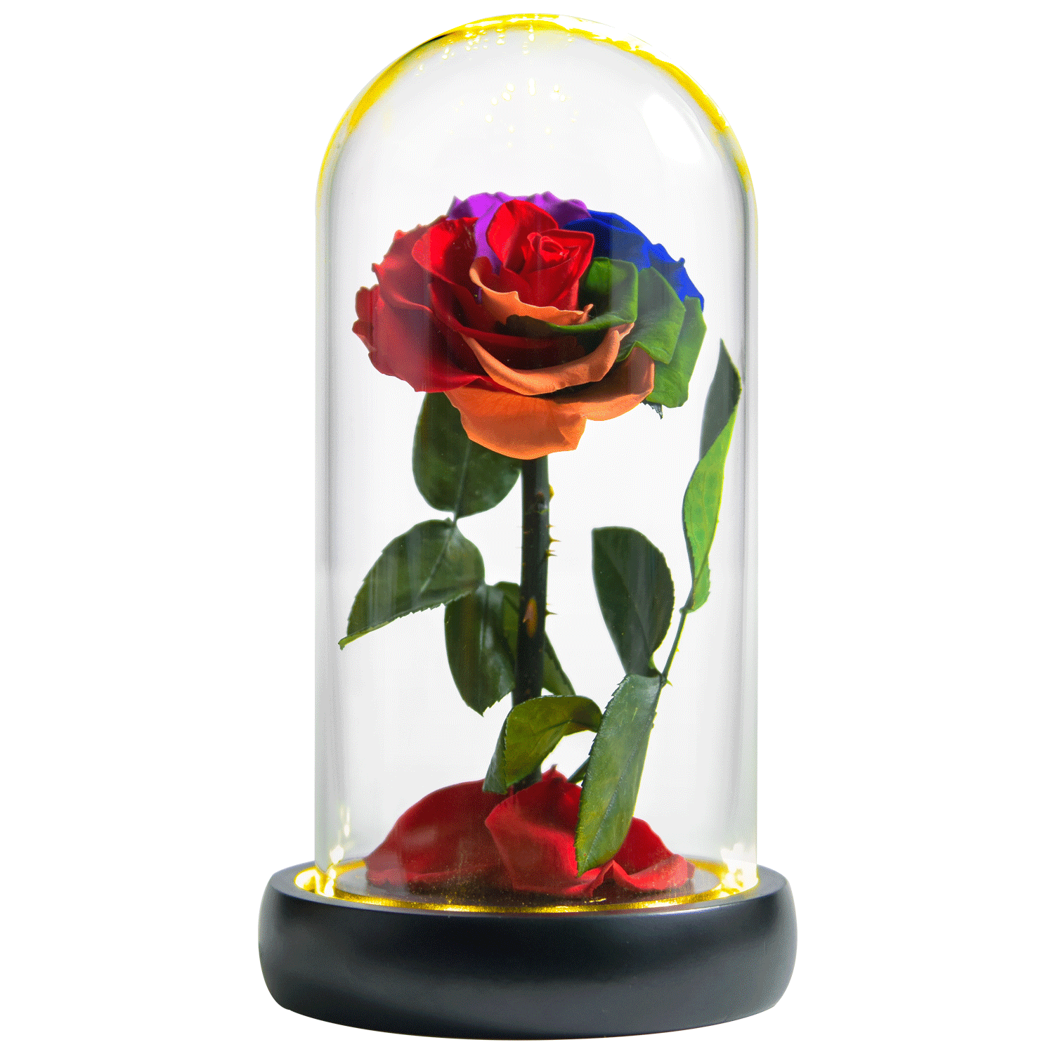 Preserved Rose Forever Rose in Glass Dome Mother's Day Gift – AinyRose