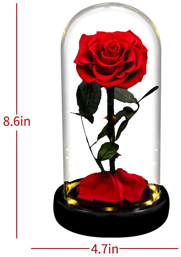 Preserved Rose Forever Rose in Glass Dome Mother's Day Gift – AinyRose