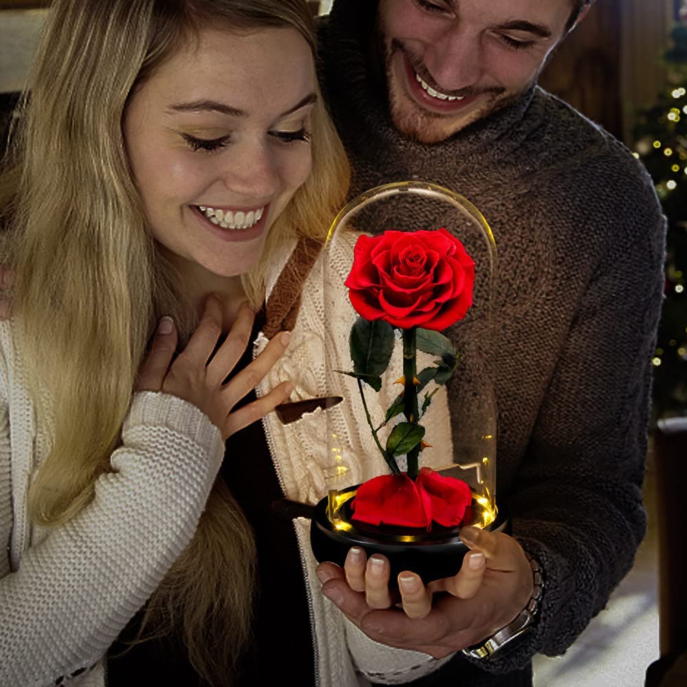 Preserved Rose Forever Rose in Glass Dome Mother's Day Gift – AinyRose
