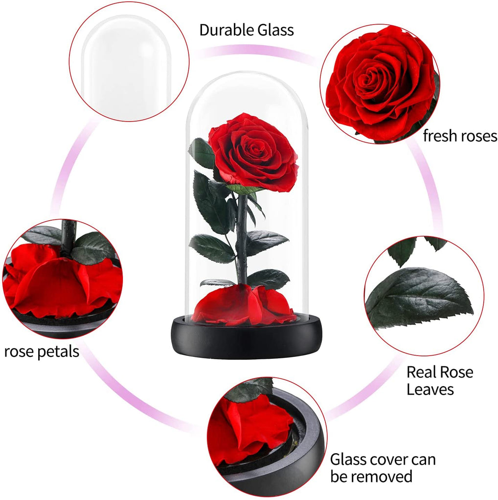 Preserved Rose Forever Rose In Glass Dome Anniversary Gift For Her ...