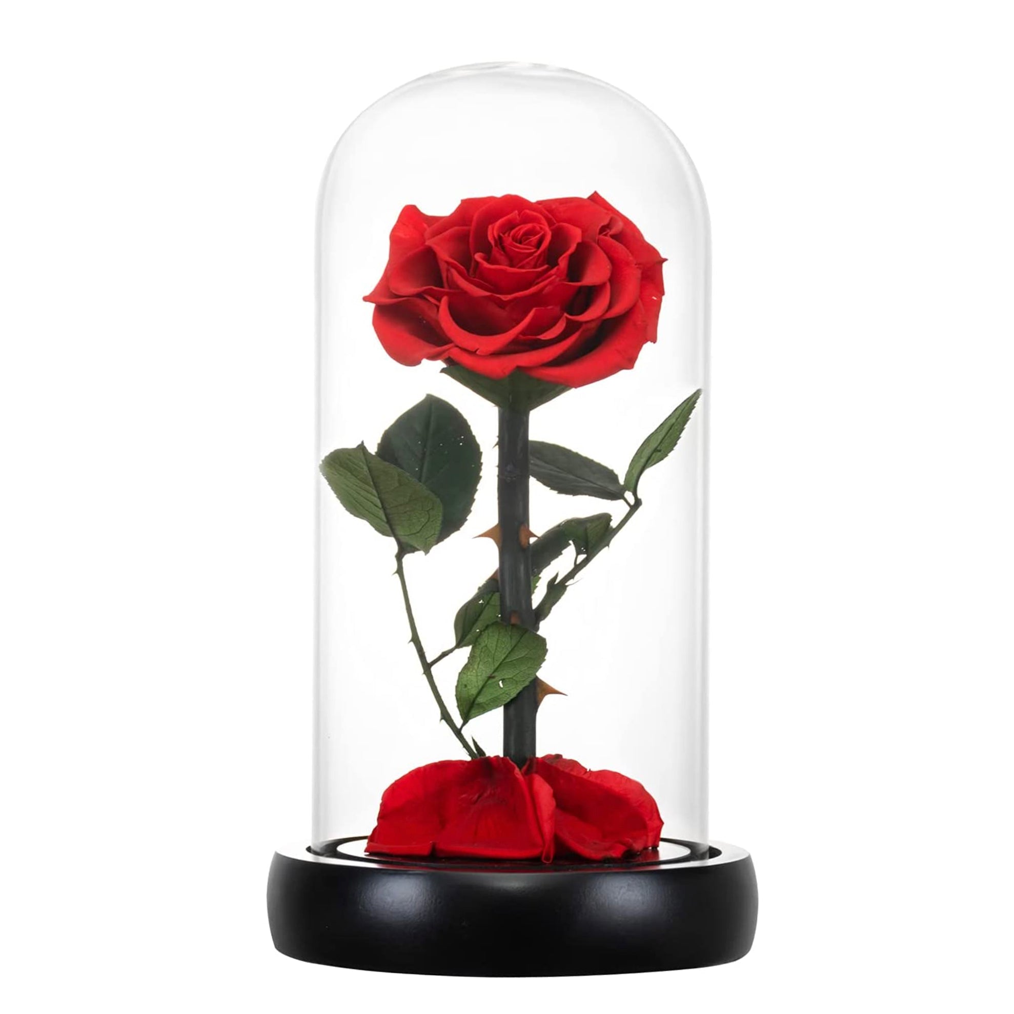 Preserved Rose Forever Rose in Glass Dome Mother's Day Gift – AinyRose