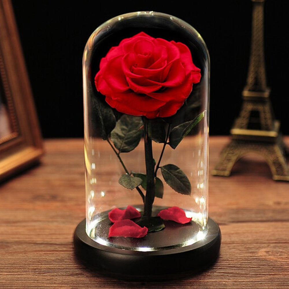 Preserved Rose Forever Rose in Glass Dome Mother's Day Gift – AinyRose