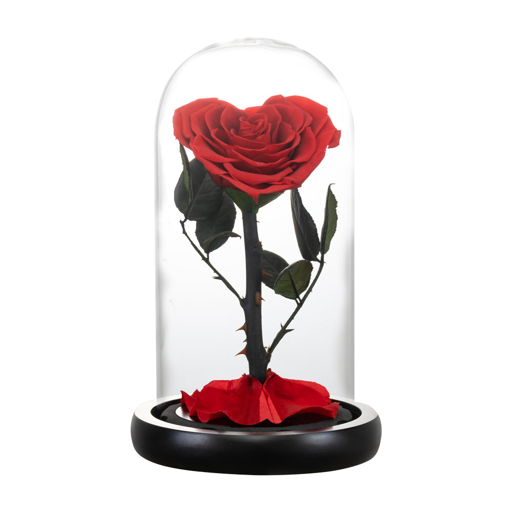 Forever Rose Heart Eternal Rose Glass Dome Birthday Gifts For Her