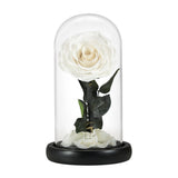 SWEETIME Blue Rose Lamp Real Preserved Rose in Glass Dome, Forever Flower  Night Light with Bluetooth Speaker, Eternal Flowers Rose Musical Box Gift  for Her on Mother's Day, Birthday, Valentine Day. 